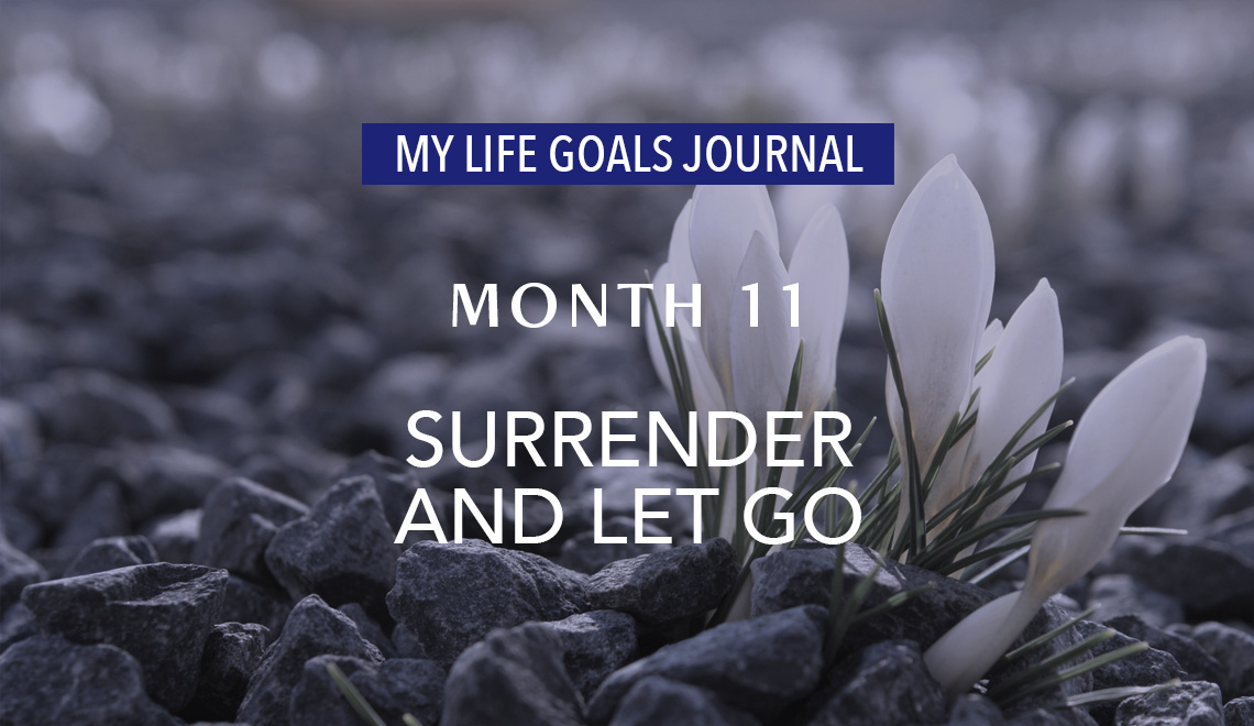 audio_my-life-goals-journal_month-11