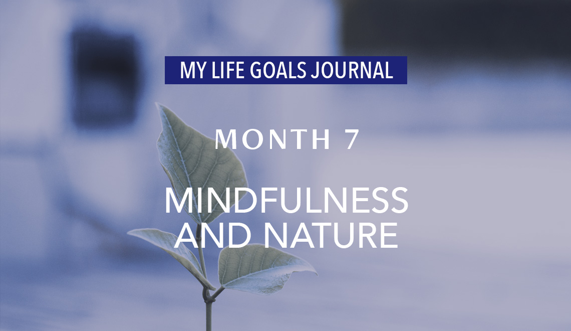 audio_my-life-goals-journal_month-7